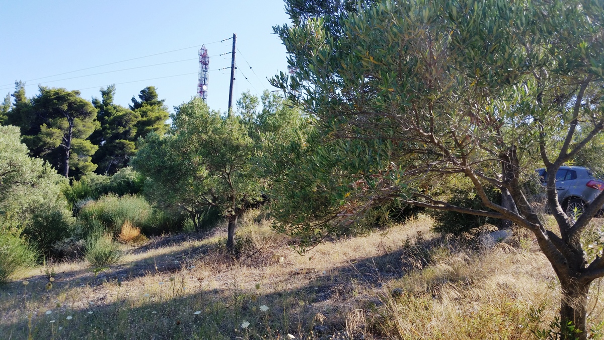 Земля на Кассандре, Греция, 9 100 м² - фото 9