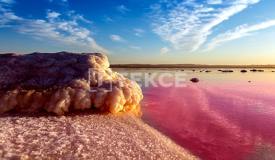 Пентхаус в Торревьехе, Испания, 53 м² - фото 17