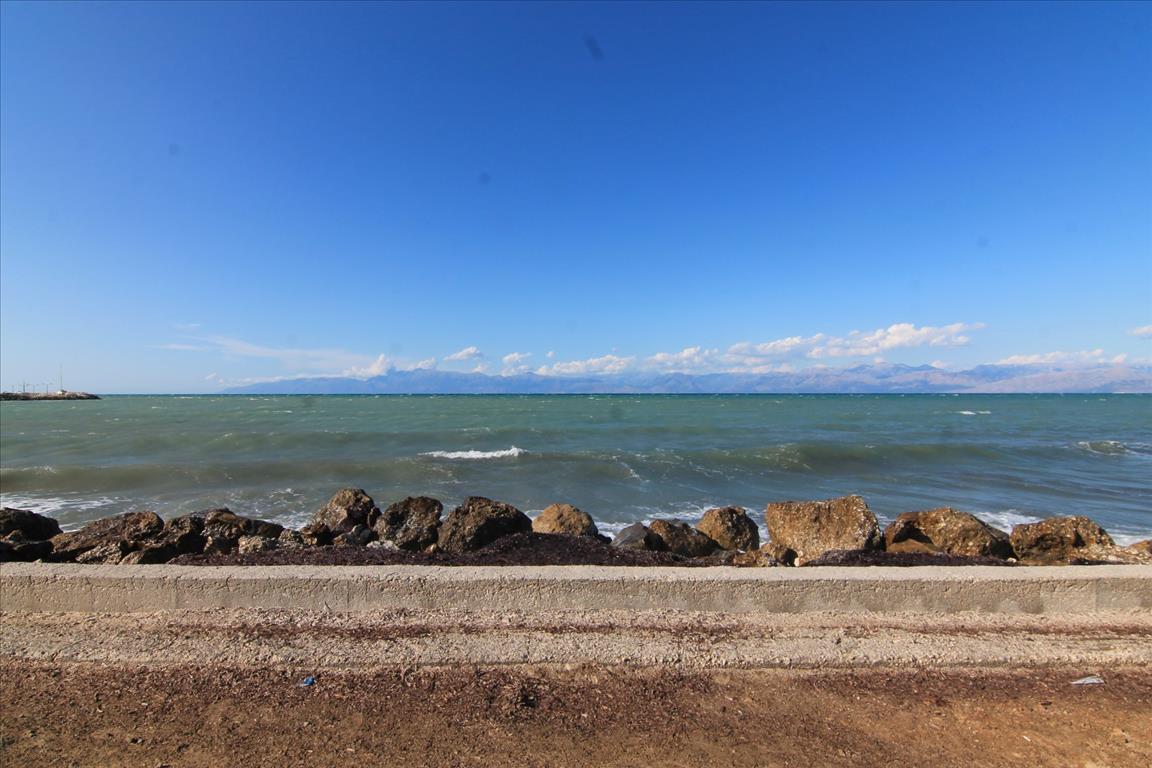 Земля на Корфу, Греция, 3 000 м² - фото 6