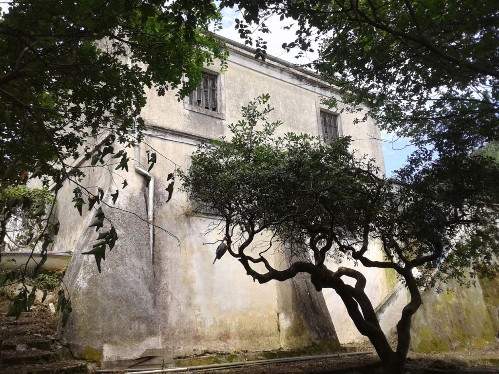 Земля на Корфу, Греция, 2 250 м² - фото 12