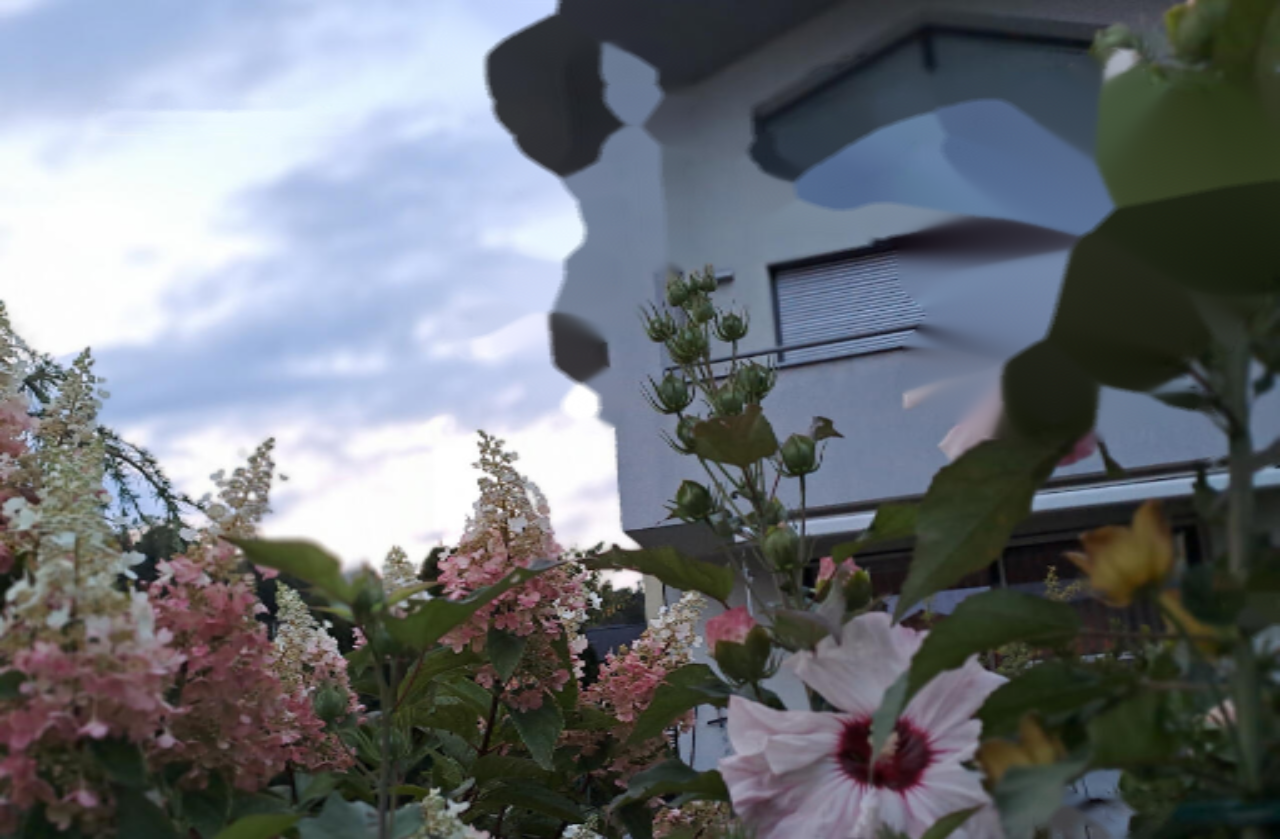 Дом в Любляне, Словения, 304 м² - фото 1