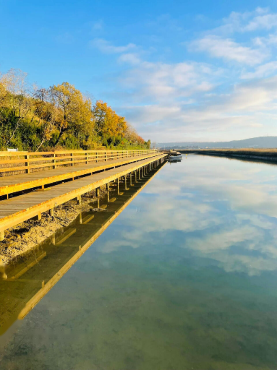 Квартира в Пиране, Словения, 59 м² - фото 3