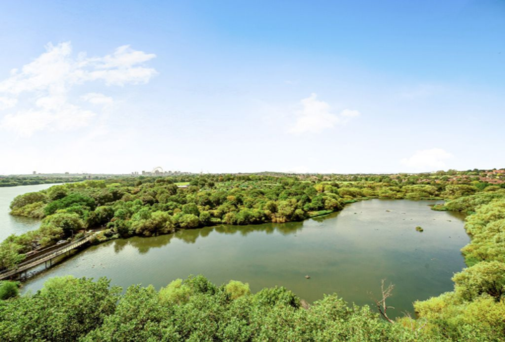 Квартира в Лондоне, Великобритания, 42 м² - фото 5