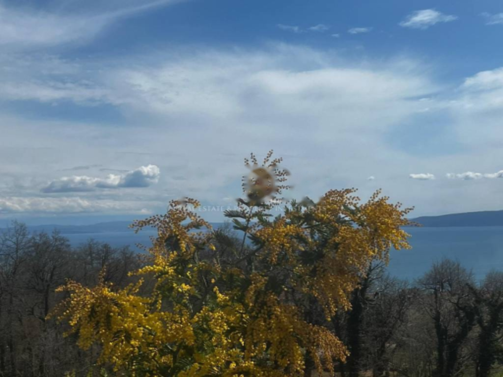 Дом в Опатии, Хорватия, 567 м² - фото 1