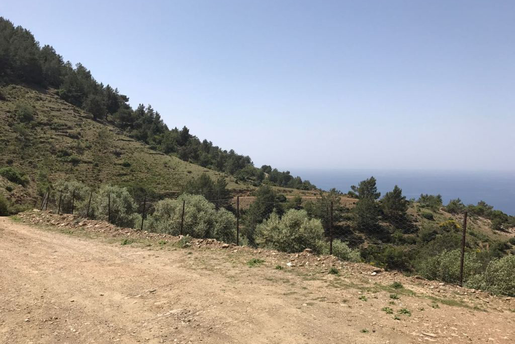 Земля в Газипаше, Турция, 2 875 м² - фото 2