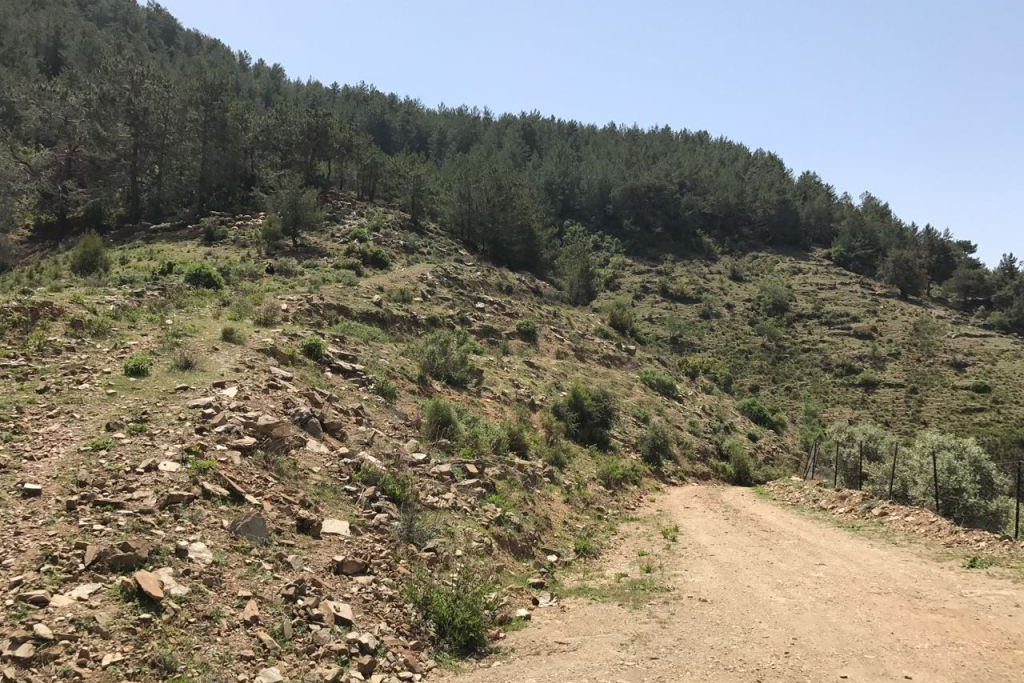 Земля в Газипаше, Турция, 2 875 м² - фото 3