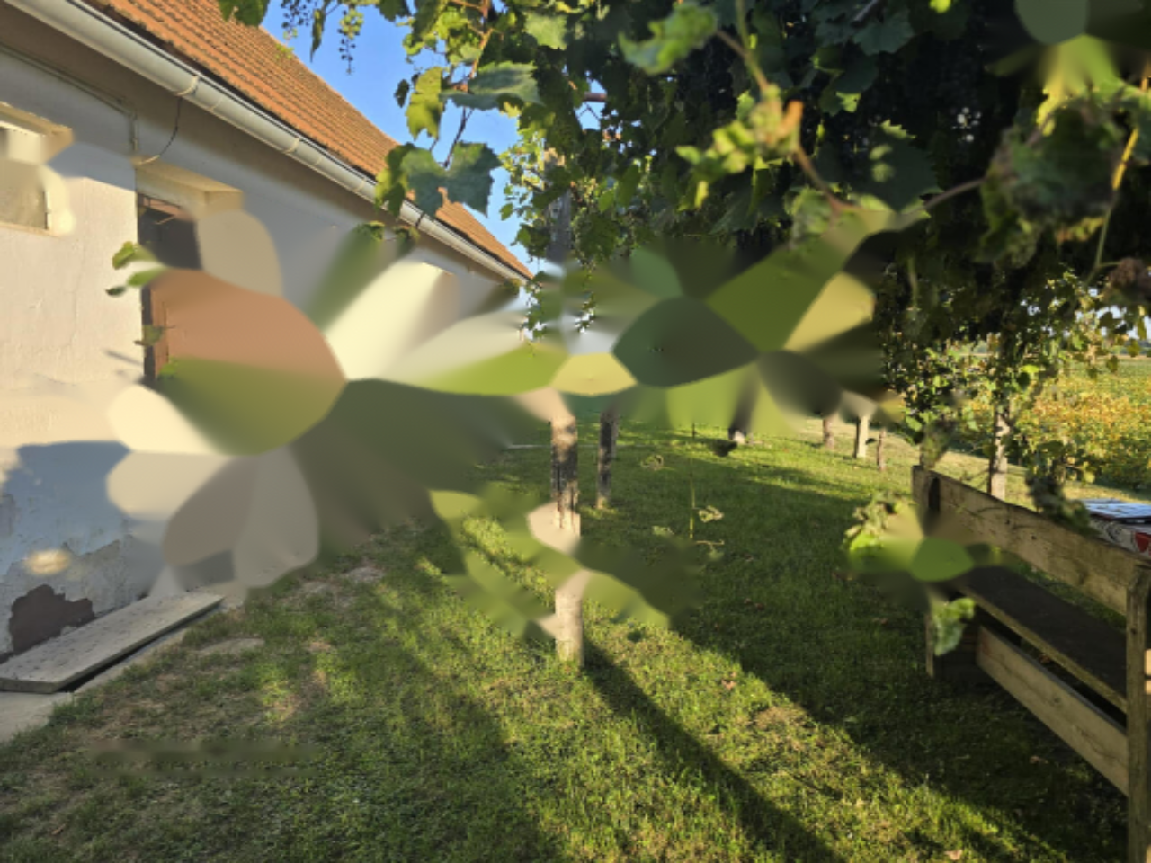 Дом в Рогашка-Слатине, Словения, 84 м² - фото 1