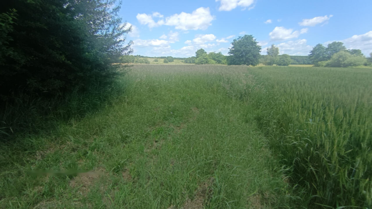 Ферма в Любляне, Словения, 150 м² - фото 6