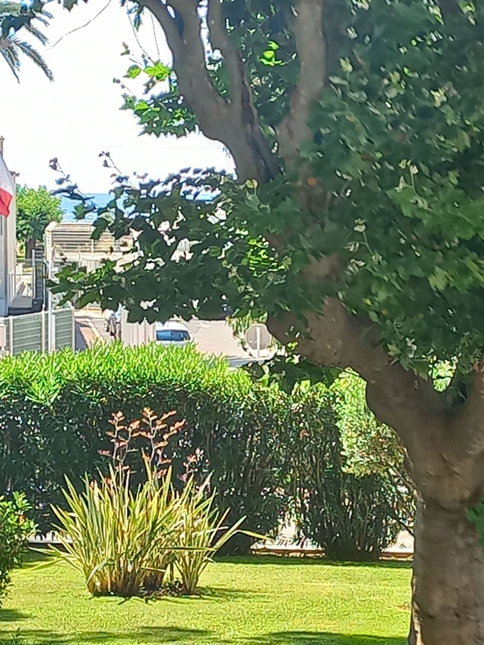 Апартаменты в Каннах, Франция, 63 м² - фото 1