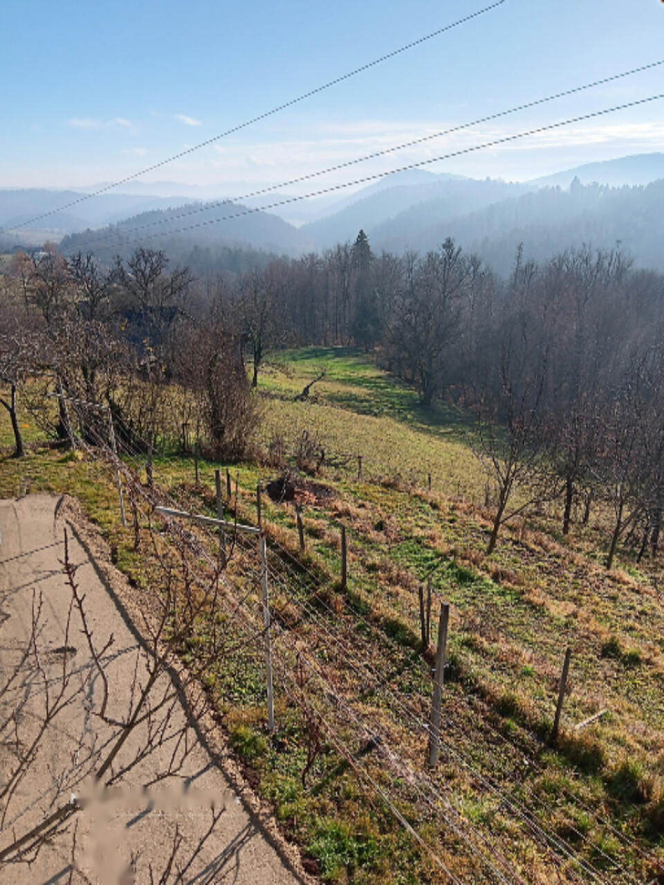 Дом в Шентерней, Словения, 91 м² - фото 19