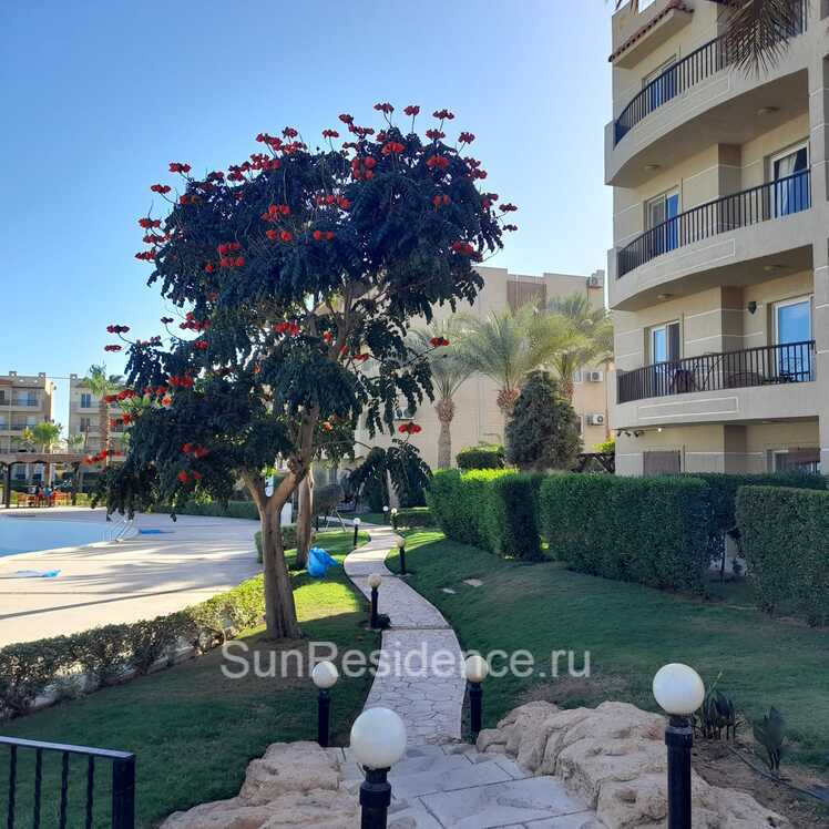 Квартира в Шарм-эль-Шейхе, Египет, 66 м² - фото 4