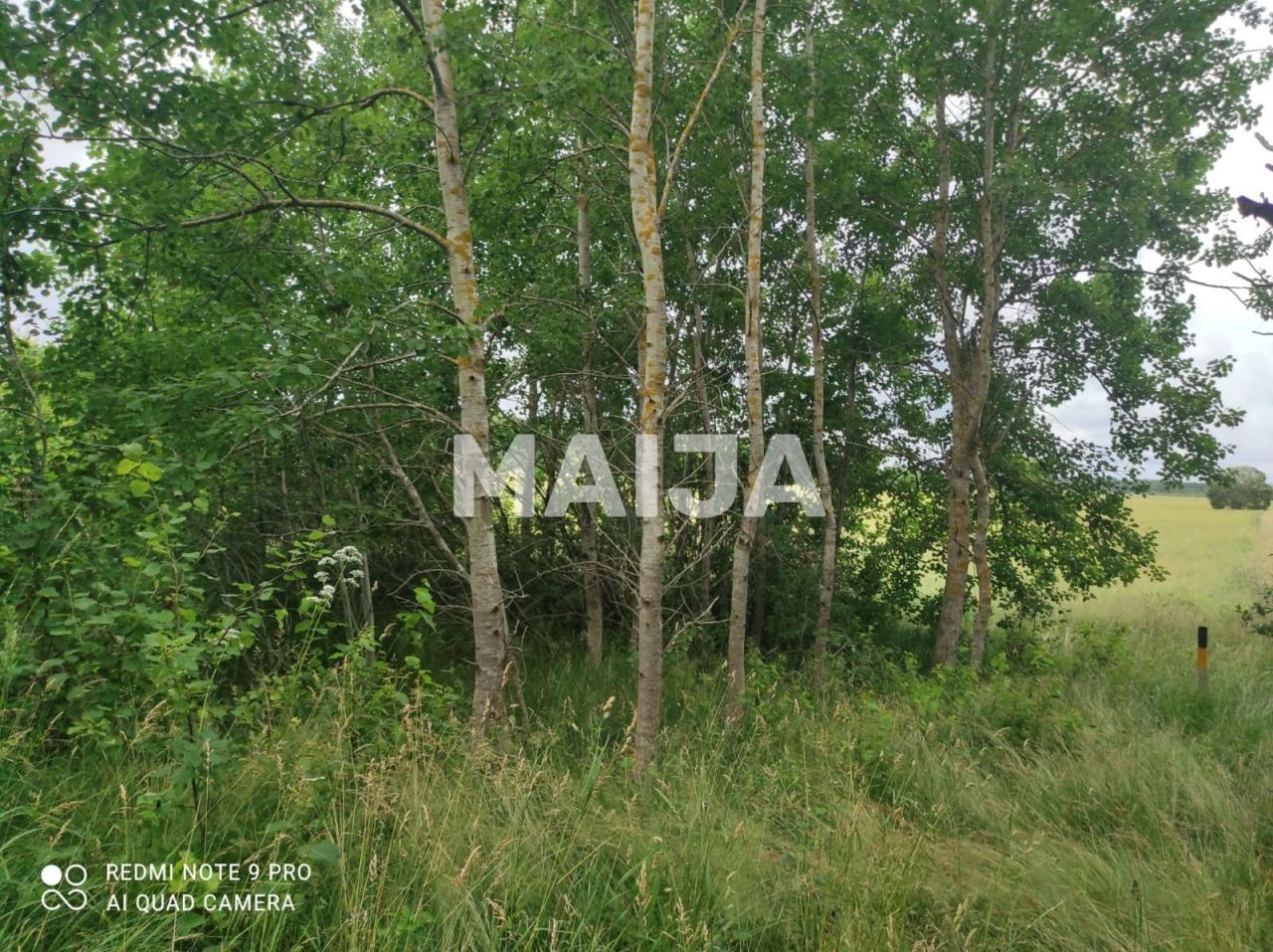 Земля Ziemupe, Латвия, 42 981 м² - фото 5