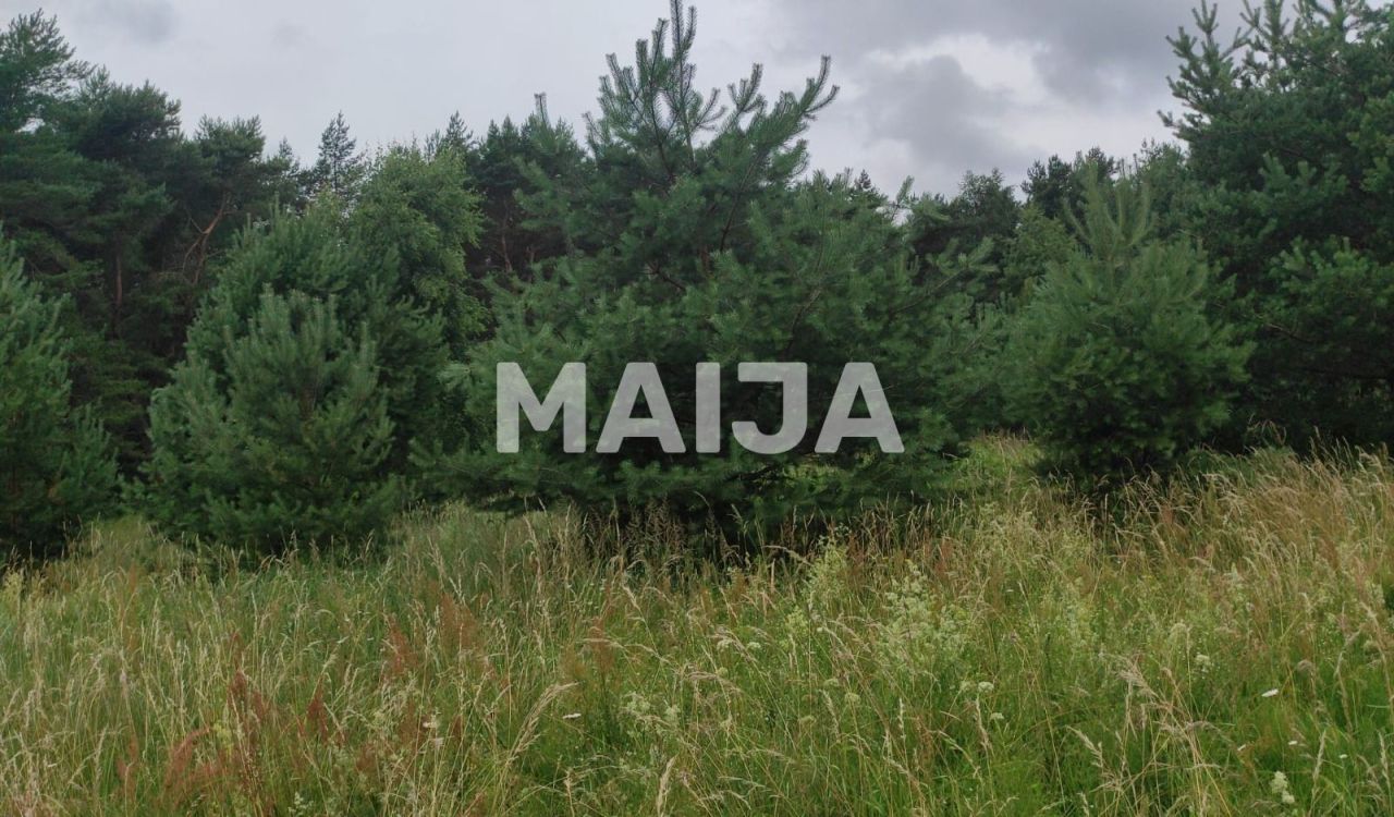 Земля Ziemupe, Латвия, 42 981 м² - фото 6