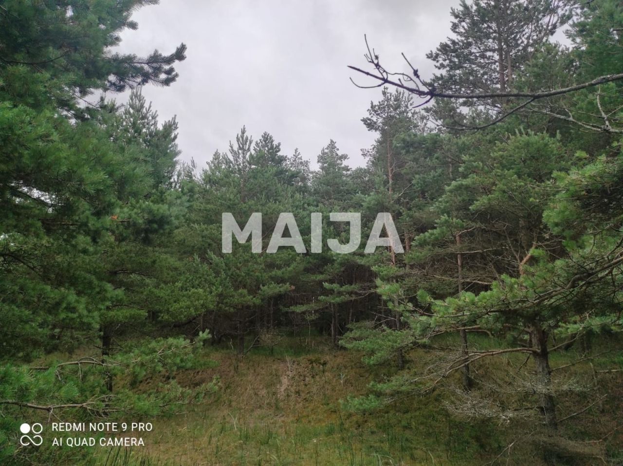 Земля Ziemupe, Латвия, 42 981 м² - фото 7