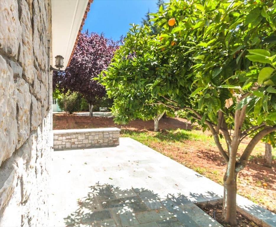 Мезонет в Аттике, Греция, 667 м² - фото 3