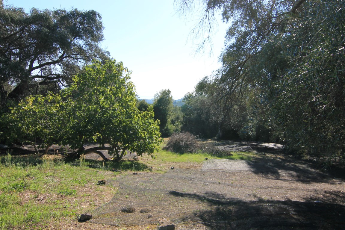 Земля на Корфу, Греция, 11 000 м² - фото 5