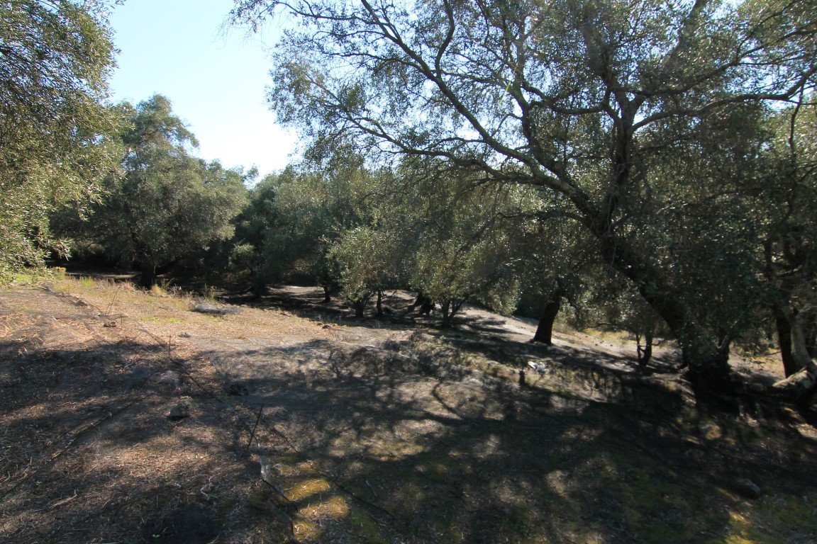 Земля на Корфу, Греция, 11 000 м² - фото 6