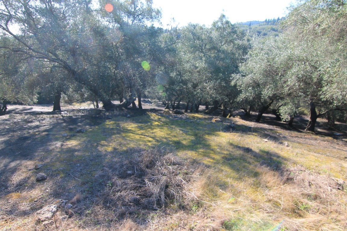 Земля на Корфу, Греция, 11 000 м² - фото 7