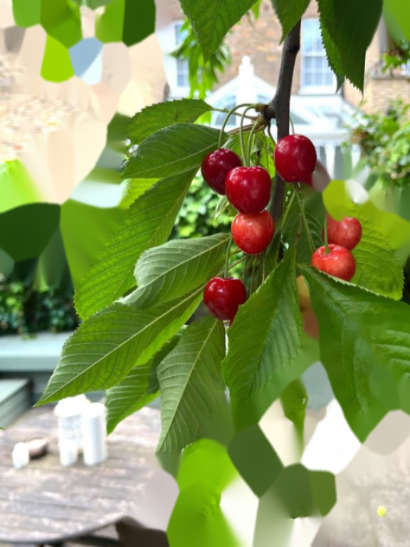 Квартира в Лондоне, Великобритания, 83 м² - фото 6