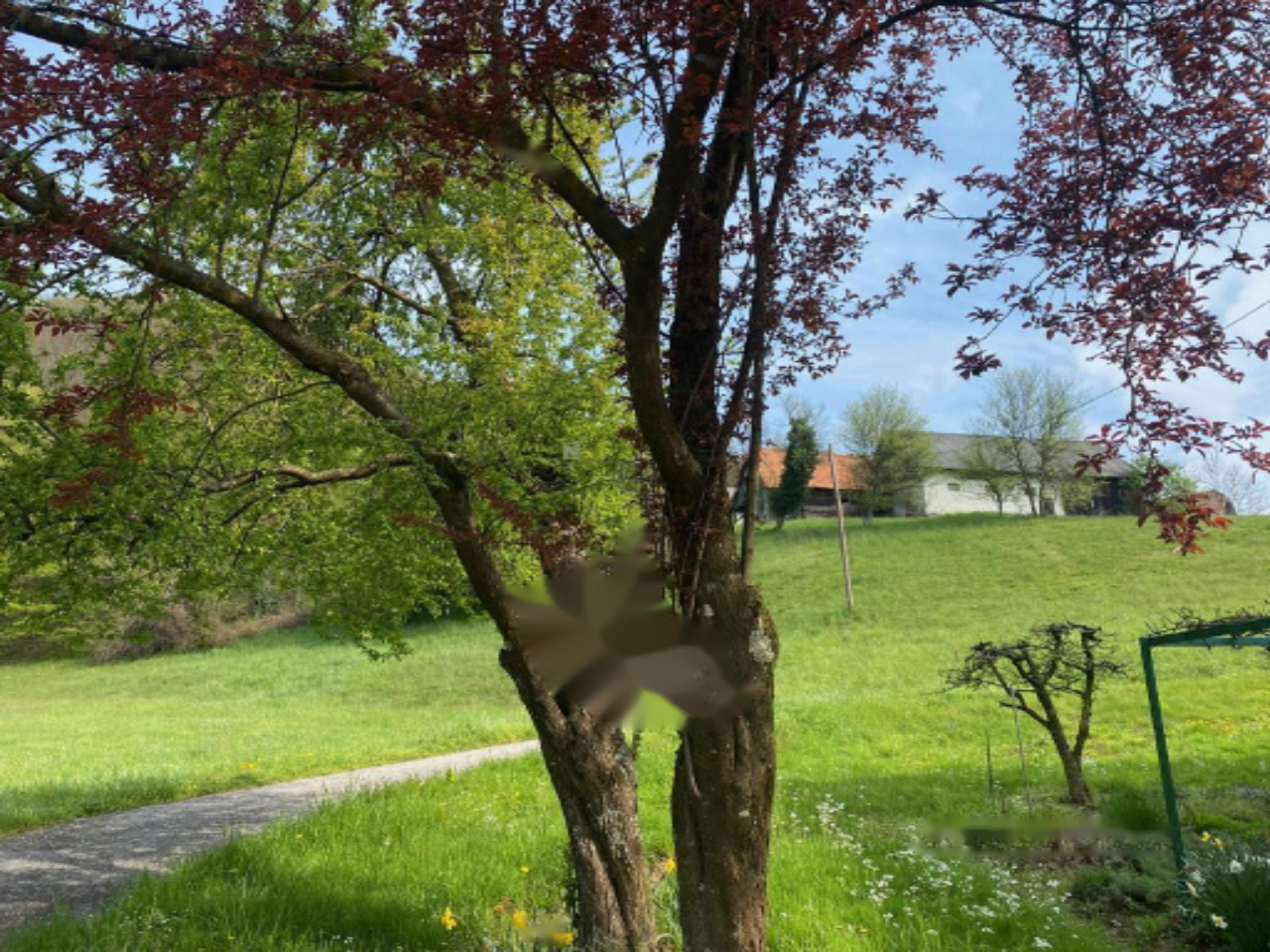 Дом в Лендаве, Словения, 52 м² - фото 14