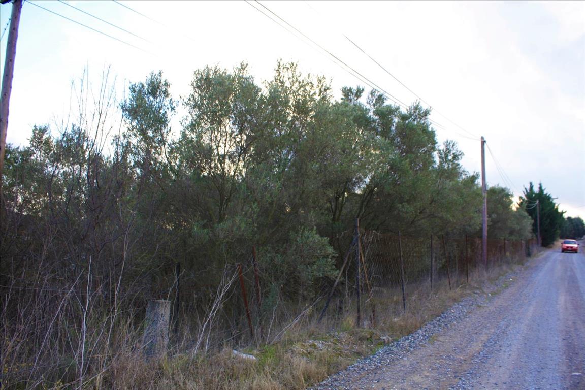 Дом в Салониках, Греция, 130 м² - фото 16