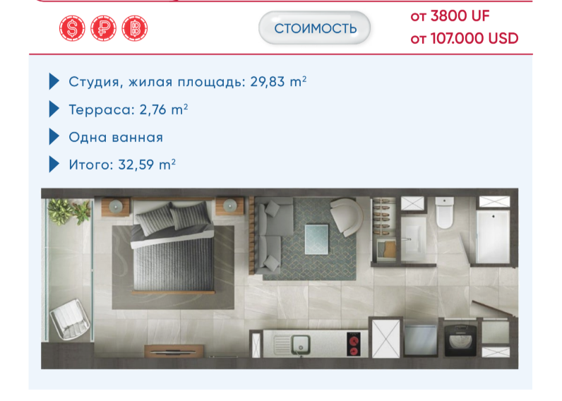 Квартира Сантьяго, Чили, 35 м² - фото 4