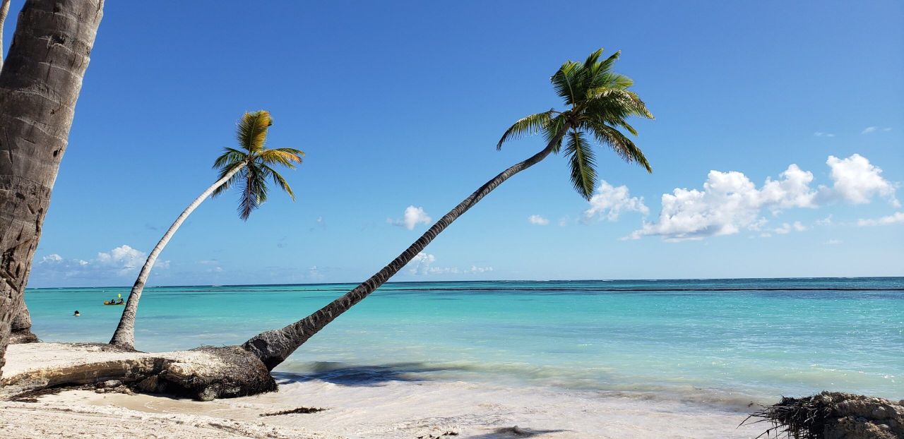 Вилла в Кап-Кане, Доминиканская Республика, 316 м² - фото 13