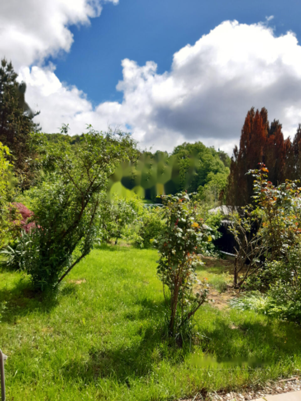 Дом в Любляне, Словения, 360 м² - фото 19