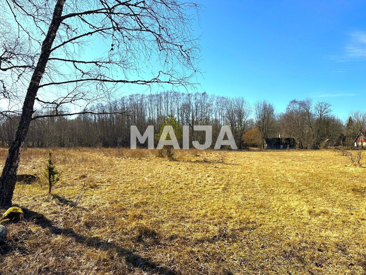 Земля на Сааремаа, Эстония, 18 255 м² - фото 9