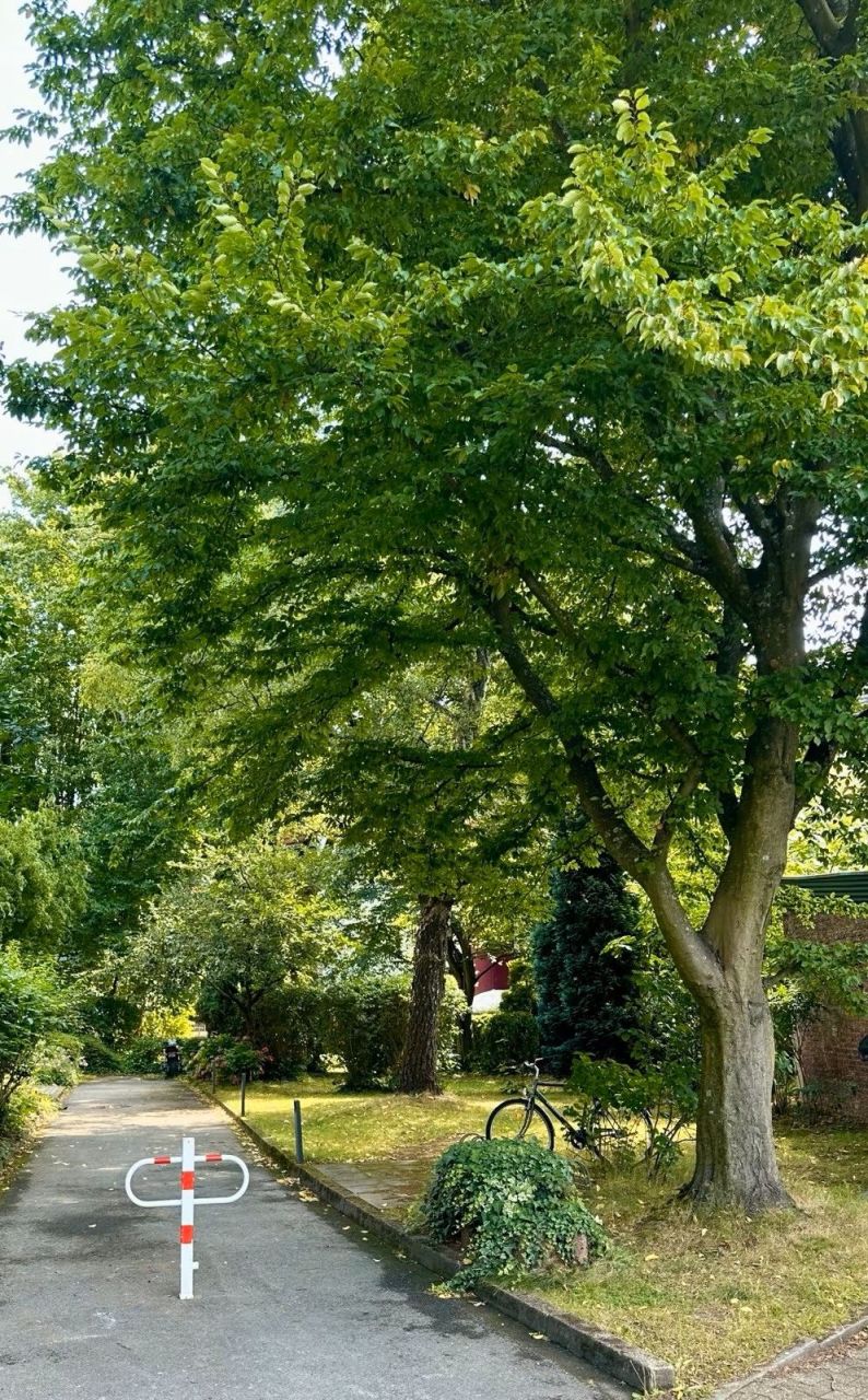 Квартира в Эссене, Германия, 54 м² - фото 6