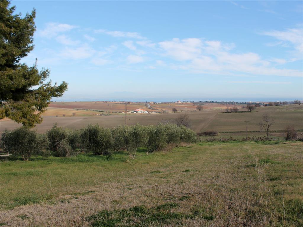 Земля в Олимпиаки-Акти, Греция, 5 800 м² - фото 2