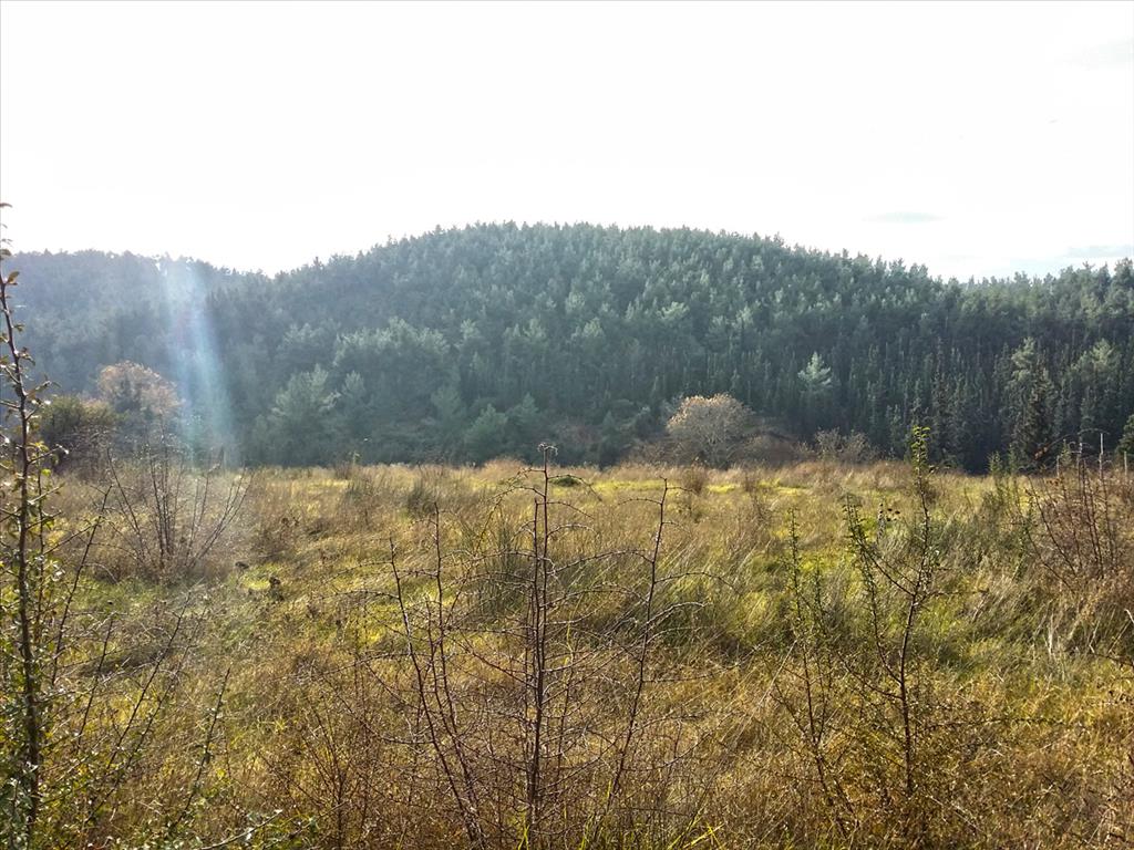 Земля в Салониках, Греция, 5 274 м² - фото 4