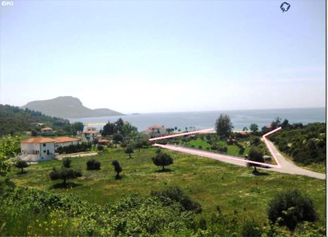 Земля в Ситонии, Греция, 5 751 м² - фото 4