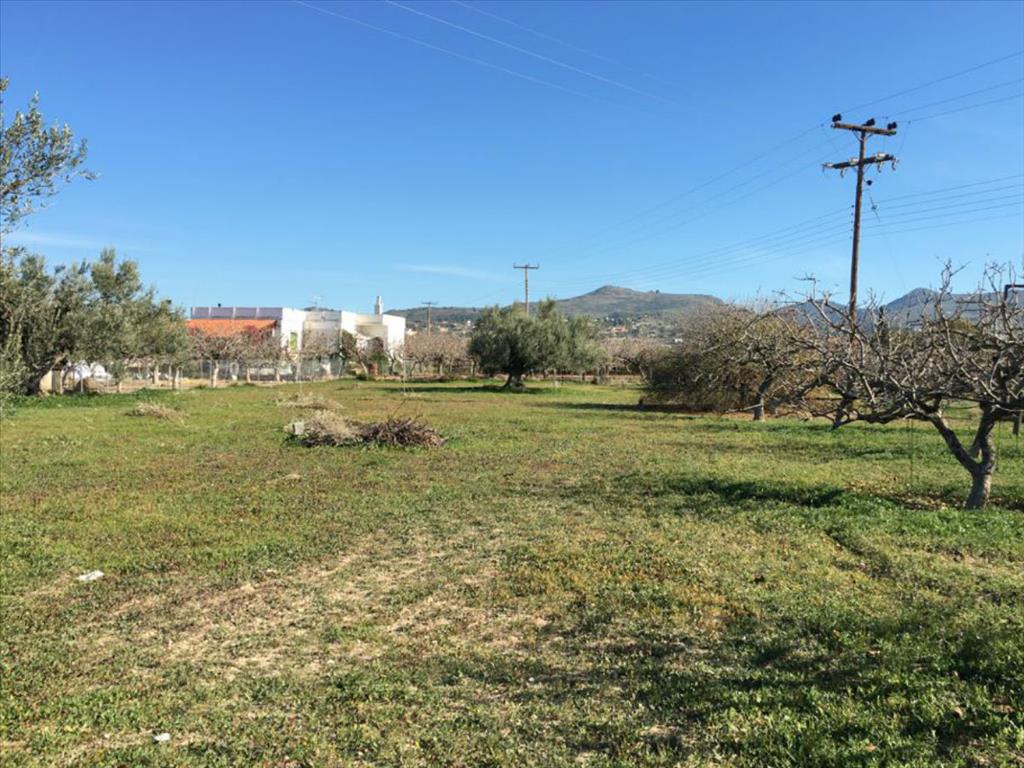 Земля в Аттике, Греция, 6 458 м² - фото 8