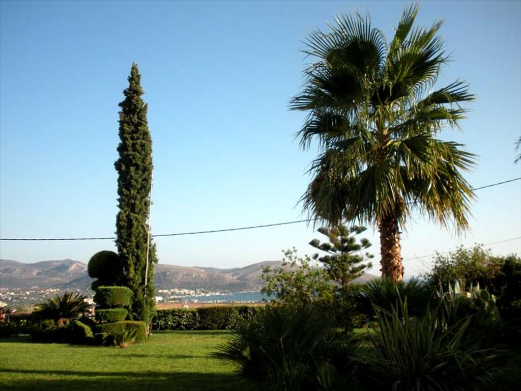 Дом в Аттике, Греция, 410 м² - фото 9