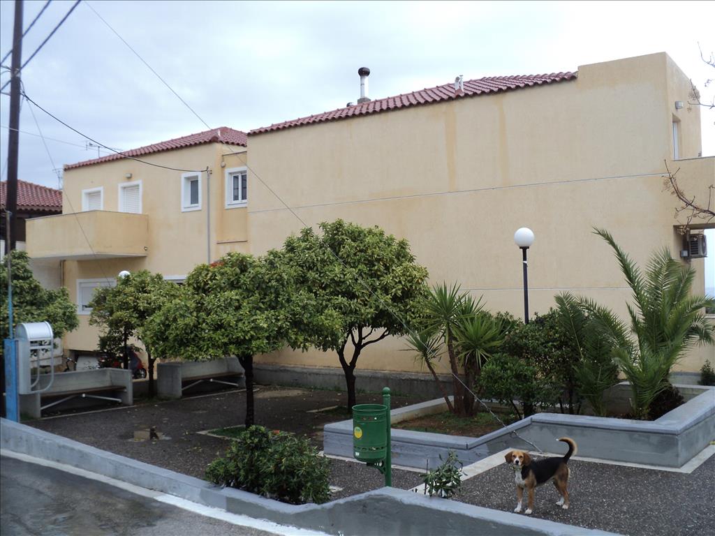 Квартира в Аттике, Греция, 75 м² - фото 11