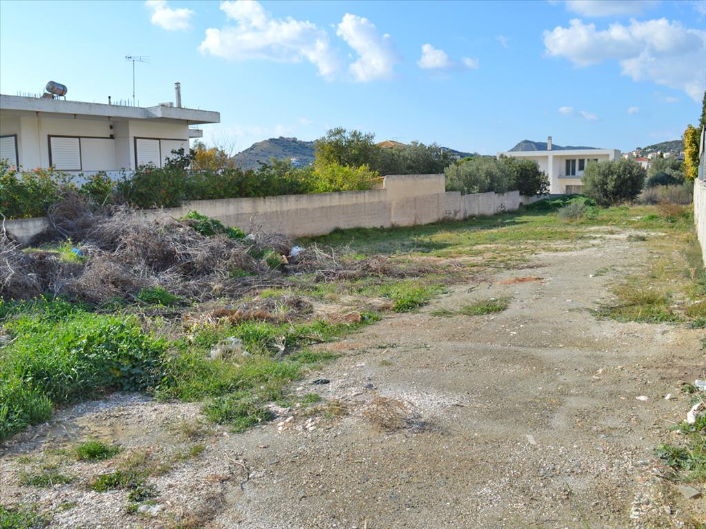 Земля в Аттике, Греция, 1 000 м² - фото 2