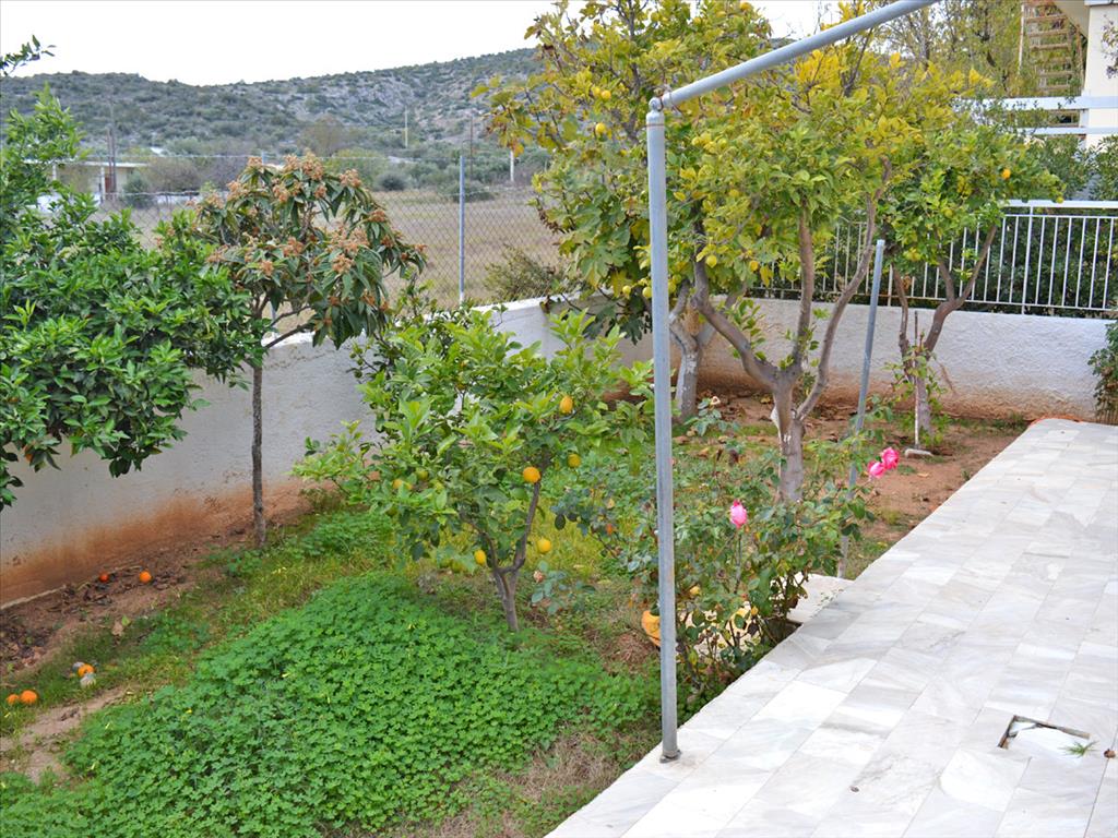 Дом в Аттике, Греция, 70 м² - фото 6