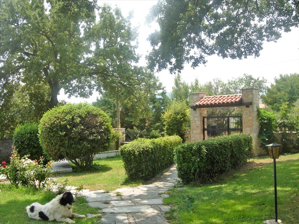 Мезонет в Аттике, Греция, 400 м² - фото 10