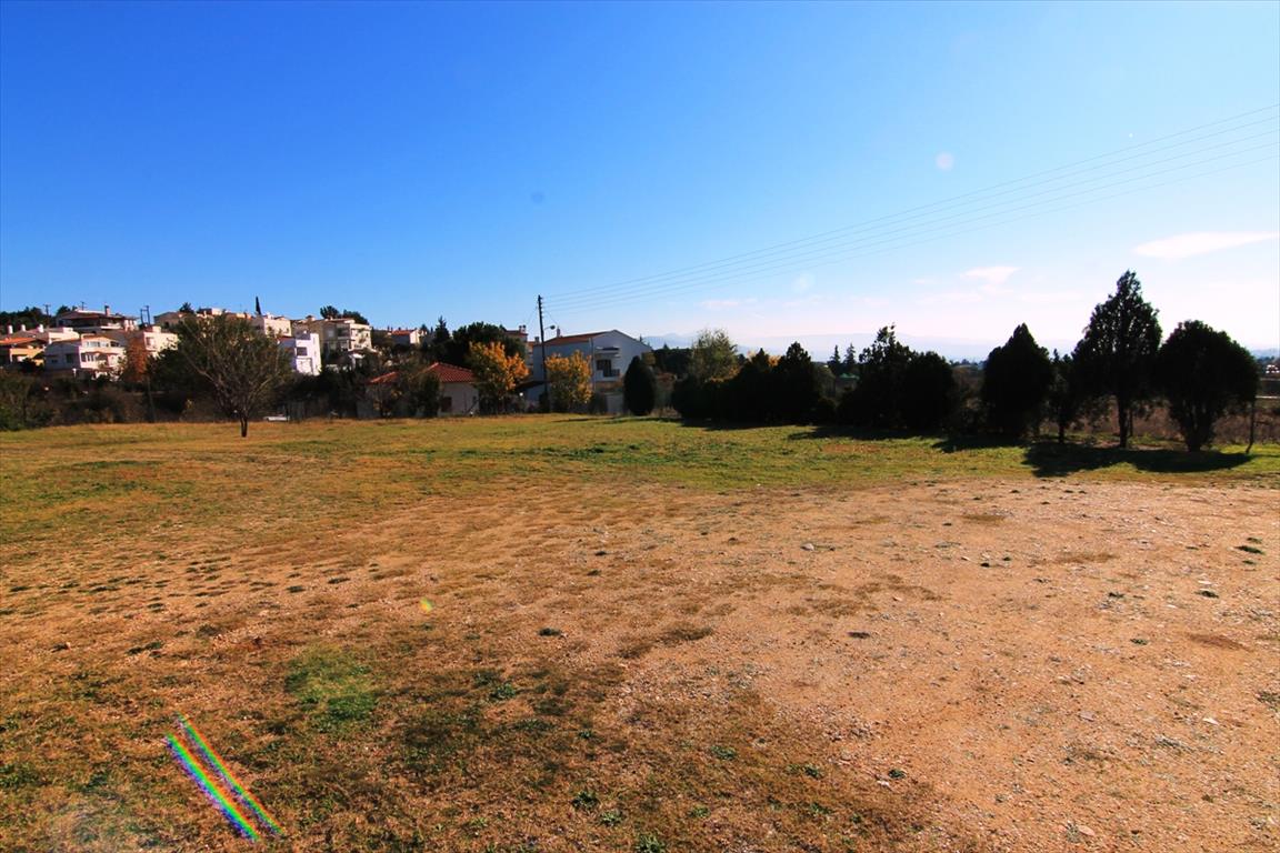 Вилла в Салониках, Греция, 500 м² - фото 13