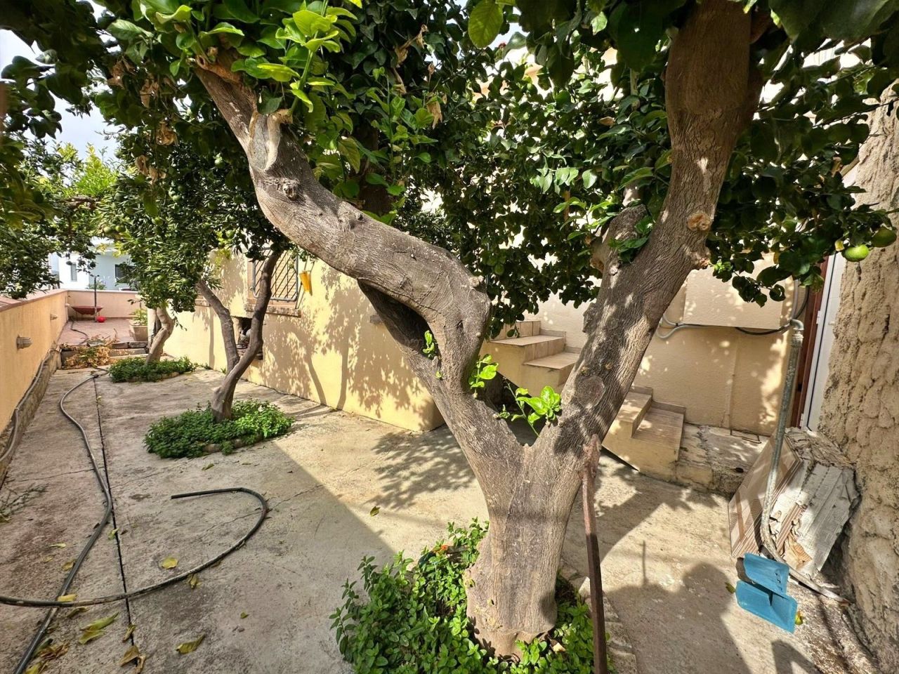 Вилла в Ларнаке, Кипр, 250 м² - фото 13