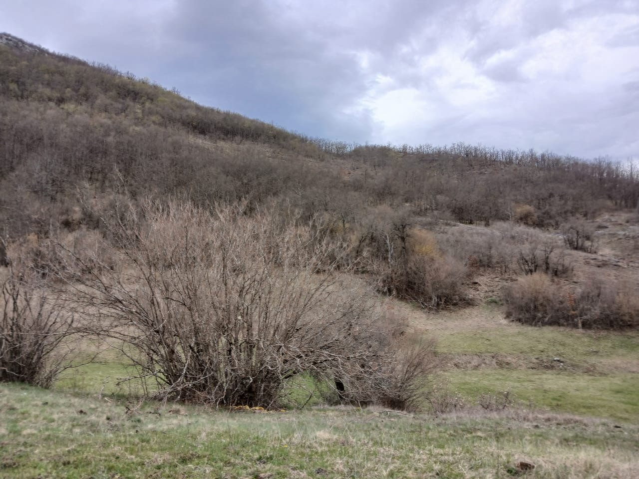 Земля в Никшиче, Черногория, 338 000 м² - фото 4