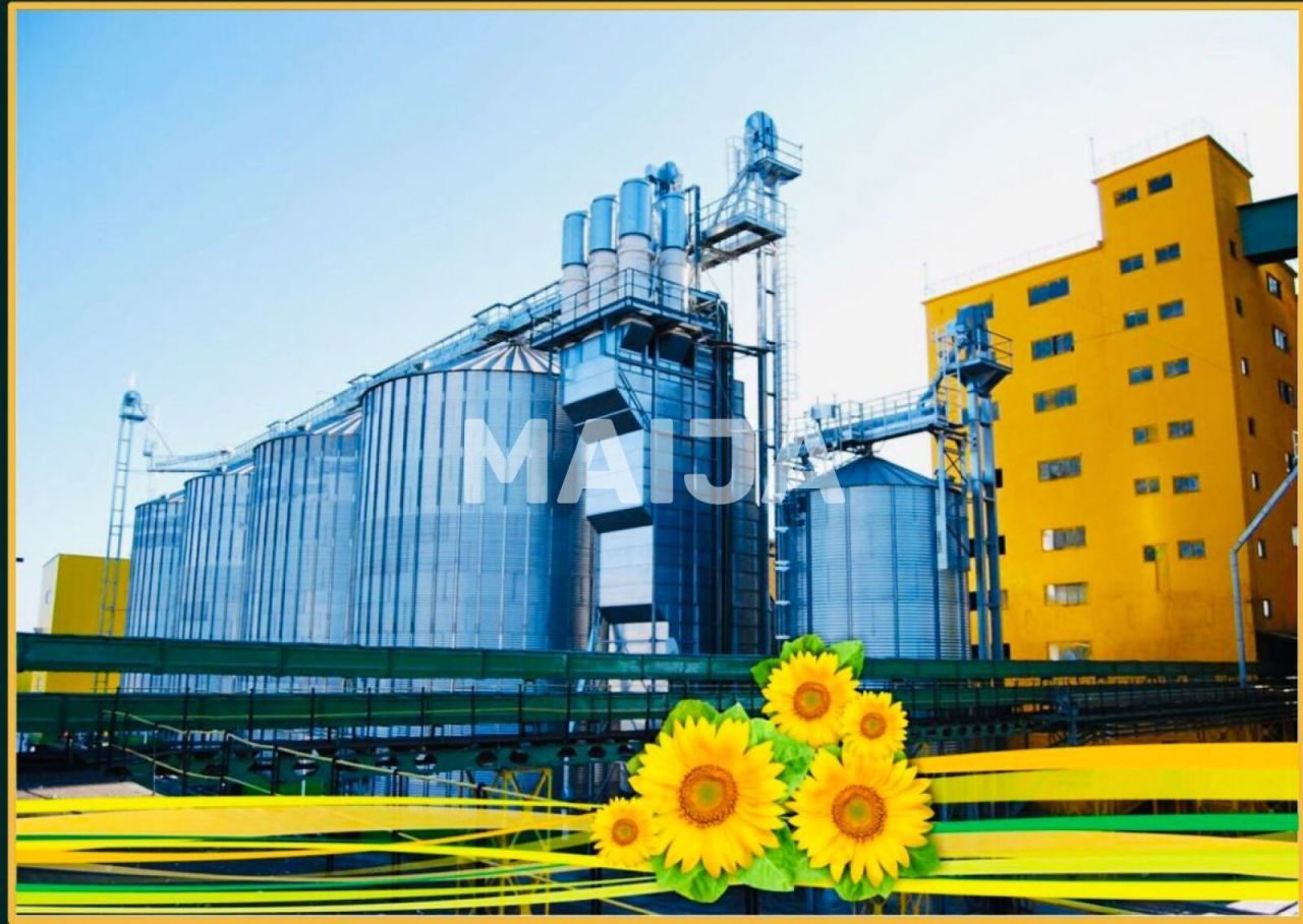 Производство Vaslui, Румыния, 46 553 м² - фото 1