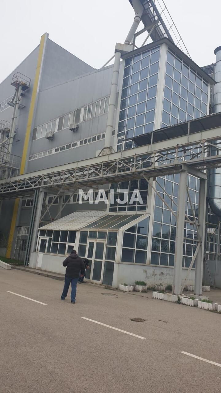 Офис Зимнича, Румыния, 100 000 м² - фото 3