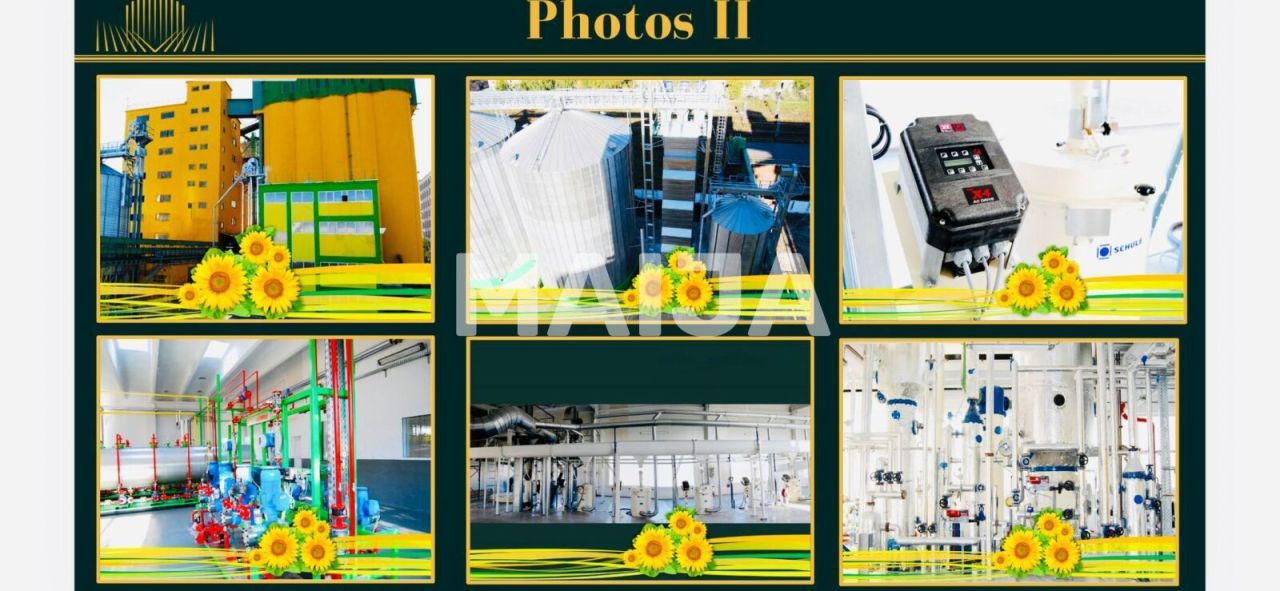 Производство Vaslui, Румыния, 46 553 м² - фото 3