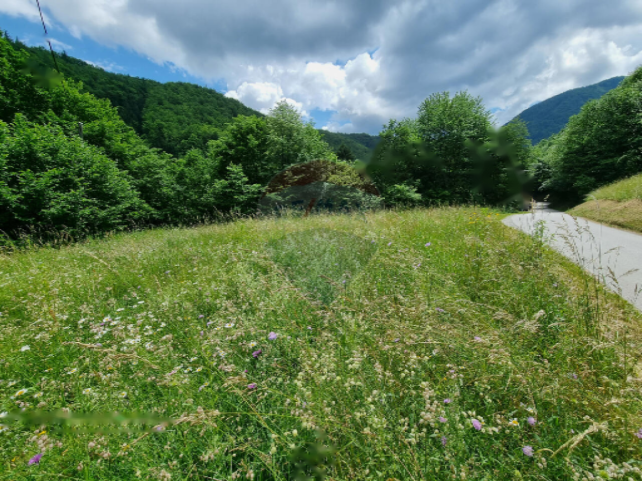 Земля в Кране, Словения, 2 245 м² - фото 1