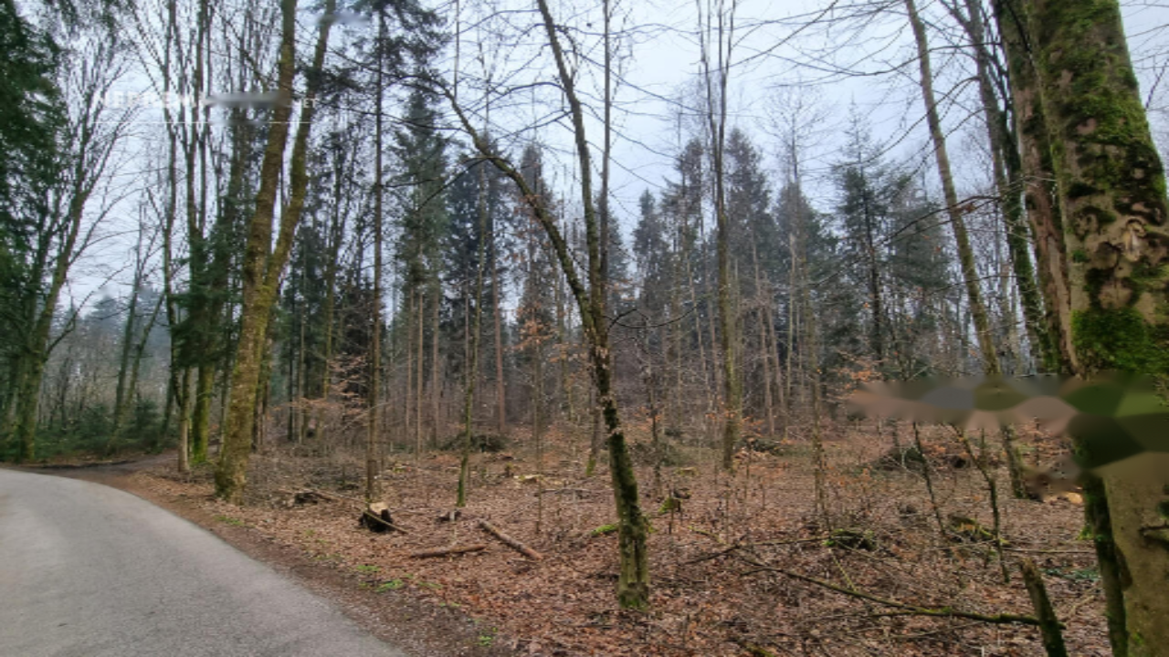 Земля в Радовлице, Словения, 4 928 м² - фото 1