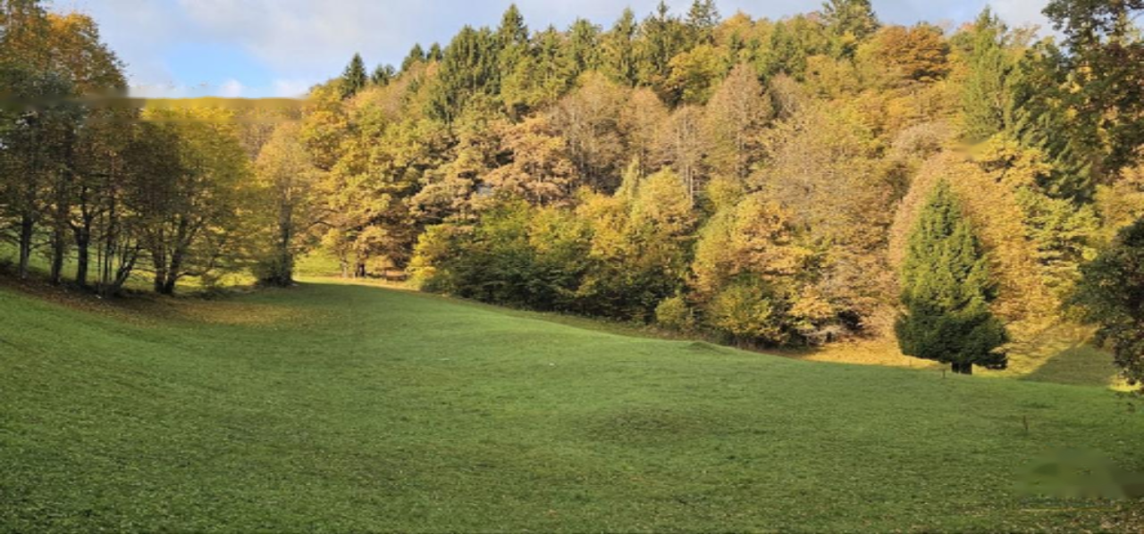 Земля в Кране, Словения, 33 465 м² - фото 1