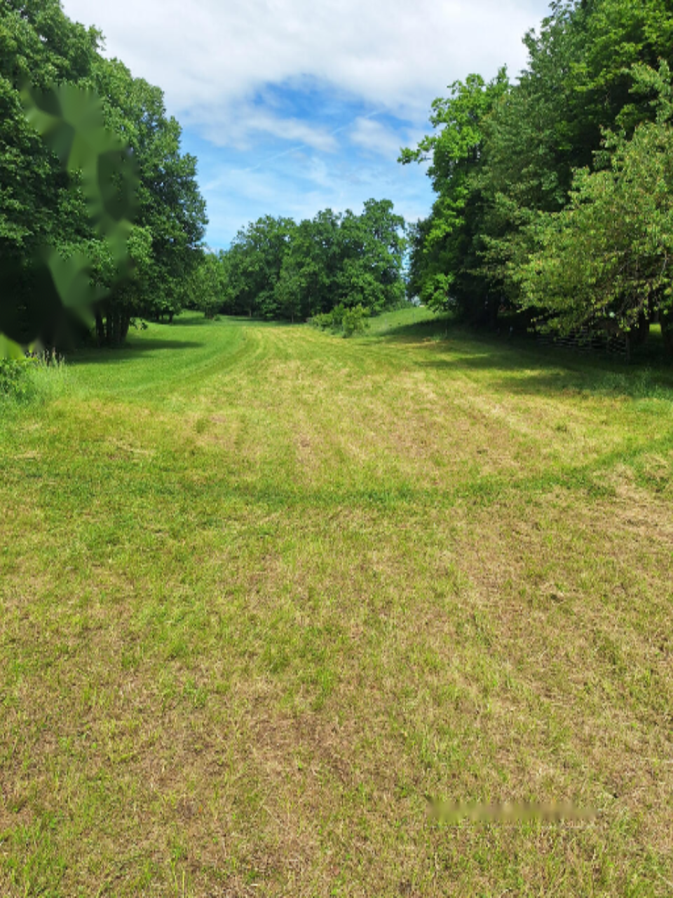 Земля в Радовлице, Словения, 1 691 м² - фото 1