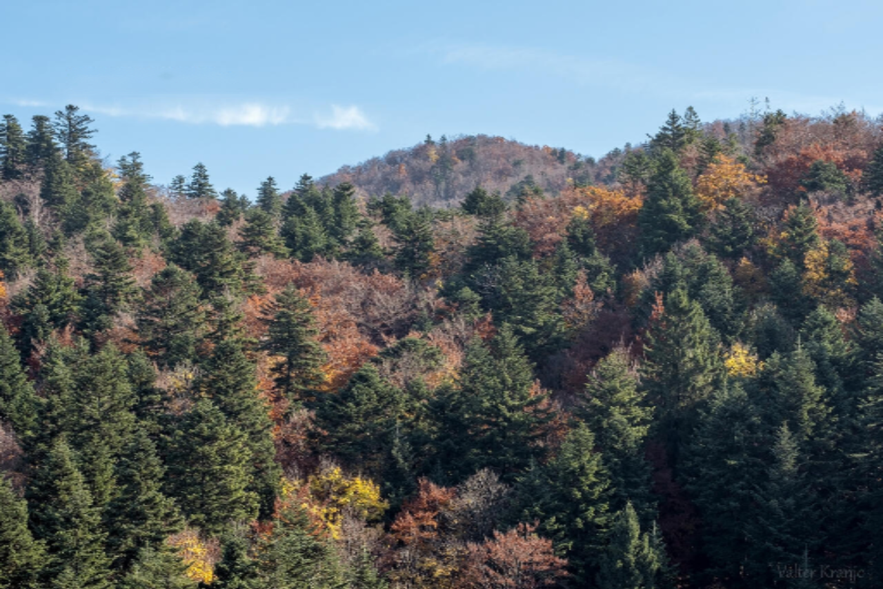 Земля в Есенице, Словения, 18 244 м² - фото 1